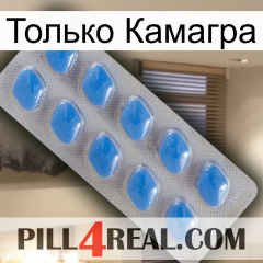 Только Камагра 22